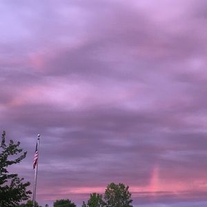 Meet your Posher, Rodney